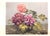 "Winter & Spring Flowers Arranged by Constance Spry" 1953 Spry, Constance For Sale - Image 9 of 13