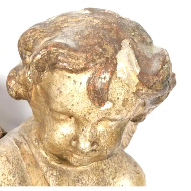 Baroque 18th Century Italian Baroque Winged Putti Sculptures in Carved Wood For Sale - Image 3 of 7