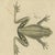 Bertuch, Five Frogs Including a Striped Frog, 1815, Print For Sale - Image 6 of 12