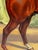 English Victorian Sporting Oil Painting of an Arabian Horse in the Bombay Stables, India, c.1900 For Sale - Image 15 of 18
