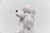 Vintage Italian Ceramic Poodle, 1960s For Sale - Image 9 of 14