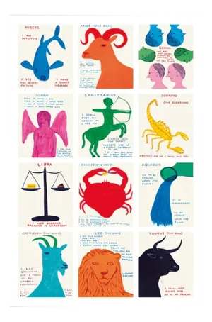 David Shrigley, Signs of the Zodiac