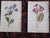 Antique 19th Century Edward Hulme Botanical "Garden Flowers" Lithographs - Set of 12 - Super Price! For Sale In Cincinnati - Image 6 of 9