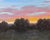 High Valley Sunrise by Stephen Day | Oil on Panel Landscape with sunrise over hills and trees For Sale