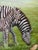 A finely executed original oil painting depicting a peaceful mother and child zebra grazing beside a river within a lush...
