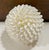 Nautical Vintage White Sea Shell Decorative Ball For Sale - Image 3 of 9