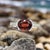 Natural Zircon Diamond Ring 6.5 14k White Gold 4.32 TCW Certified For Sale - Image 9 of 11
