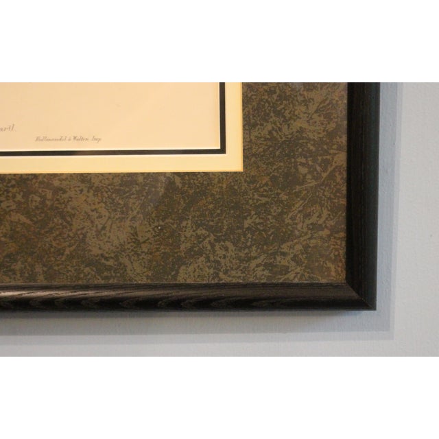 Printmaking Materials 1970s English Framed Reproduction of Gould's Chestnut-Crowned Pomatorhinus Lithograph For Sale - Image 7 of 10