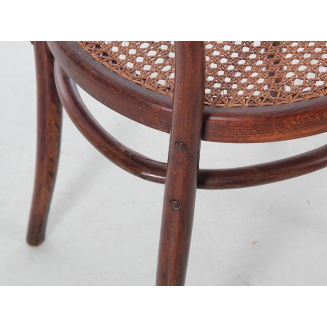 Mid-Century Baumann Modern Armchair in Bentwood, 1940s For Sale - Image 11 of 13