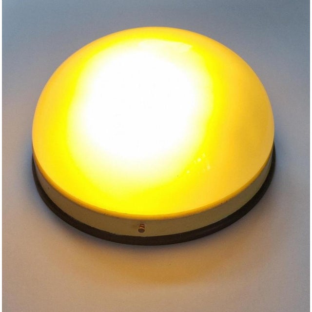 Mid-Century Ceiling Lamps, 1950s For Sale - Image 14 of 18