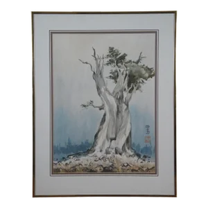 20th Century Japanese Gnarled Pine Watercolor Painting Signed & Framed 27"