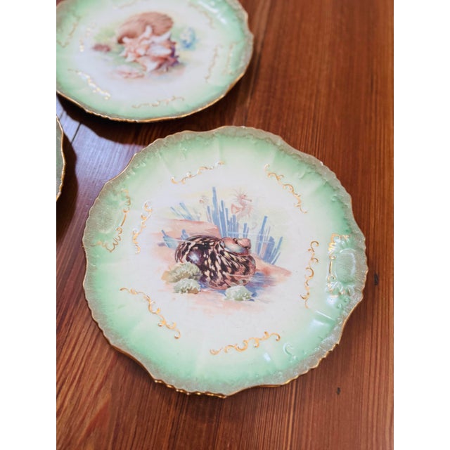Set of Three! Limoge Style Antique Plates Made in the Usa by East Liverpool Potteries. For Sale - Image 6 of 6