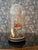 Late 19th Century Globe De Mariee For Sale - Image 6 of 12