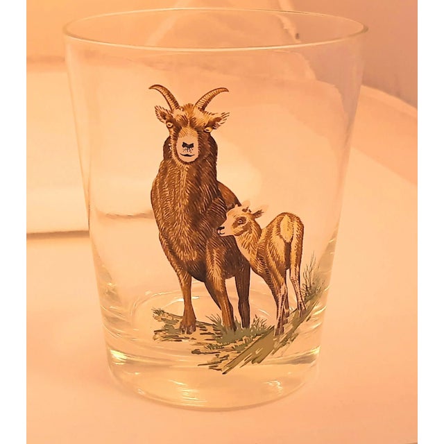Glass Vintage Wild Animals Barware GlassesNorth American For Sale - Image 7 of 11