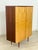 Stylish Mid-Century Wardrobe / 1960s Linen Closet / Vintage Wardrobe For Sale - Image 6 of 11