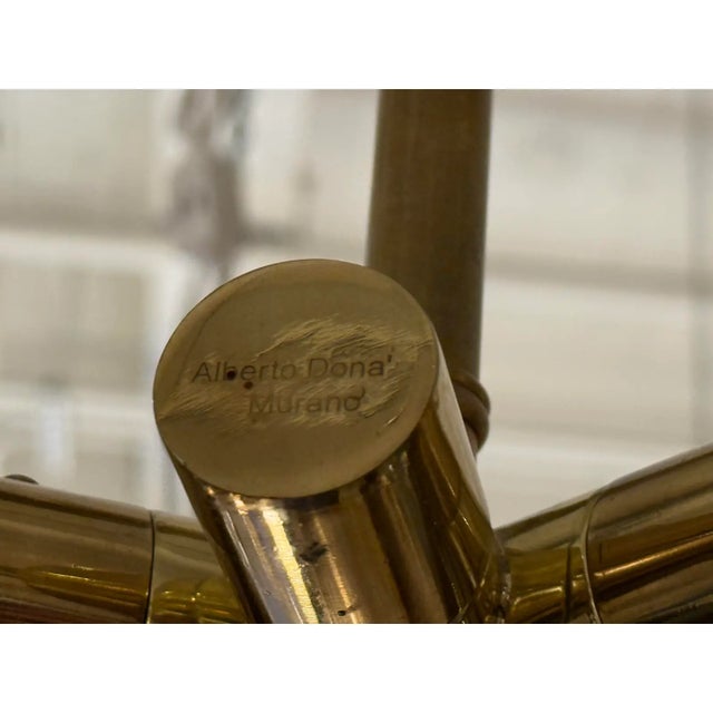 Italian Alberto Donà Mimosa Chandelier For Sale - Image 3 of 16