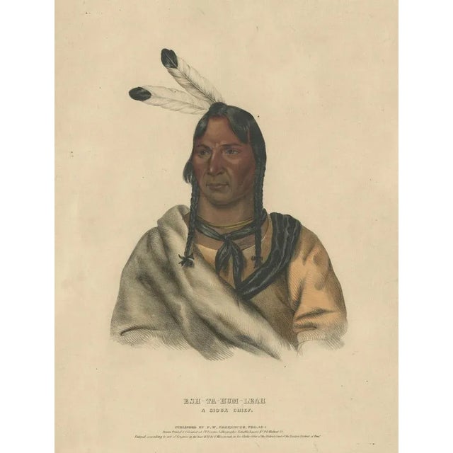 After Charles Bird King, Sioux Chief Portrait Esh-Ta-Hum-Leah, Lithograph, 1838 For Sale - Image 4 of 11