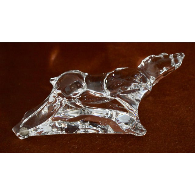 Baccarat Crystal German Pointer Dog Figurine Paperweight For Sale - Image 11 of 13