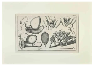 Lorenz Heister, Surgical Instruments, Etching, 1750