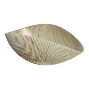 Organic Modern Art Glass Centerpiece Bowl by Yalos Murano, C. 2000s