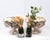 Rococo Rococo Wine Coolers, Set of 2 For Sale - Image 3 of 15