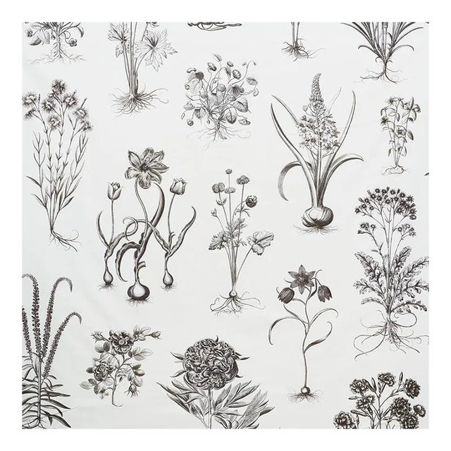 Sample - Schumacher Cabot Botanical Large Fabric in Ivory For Sale