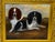 Victorian British Blenheim and Prince Charles Tricolour Spaniels Victorian Dogs Oil Portrait in a Wooded Country Landscapen in the Manner of John Dalby of York For Sale - Image 3 of 18