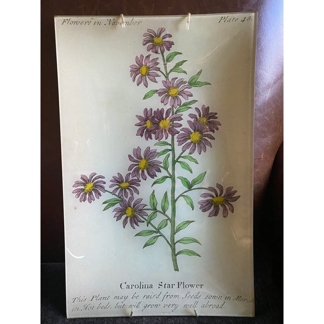 Contemporary John Derian Floral Decoupage Trays Set of 4 Chairish