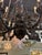 19th Century Italian Carved Wood and Iron Chandelier For Sale - Image 11 of 13
