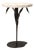 Warm Black Willow Accent Table Travertine For Sale