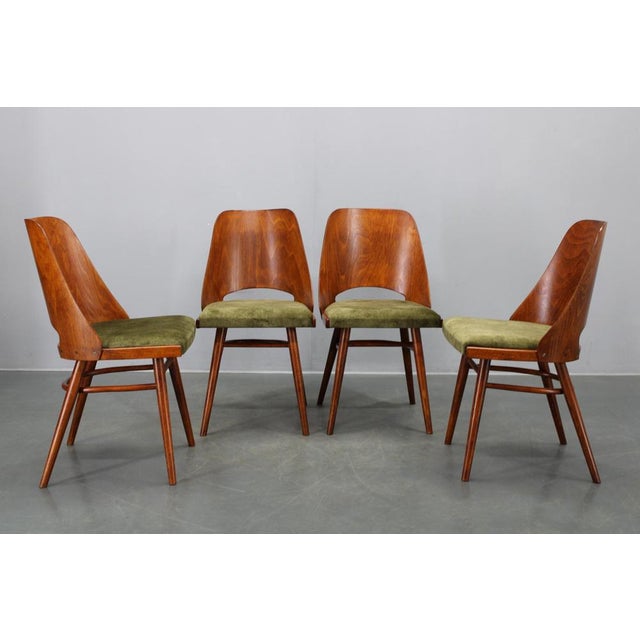 This elegant set of four mid-century dining chairs, model ton 514, was designed by osvald haerdtl and produced by ton in...