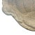 Pottery Barn White Stoneware Rustic Turkey Platter Large 18” For Sale - Image 6 of 11