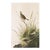 1966 Vintage Cottage Print "Sharp-Tailed Finch" After John James Audubon For Sale
