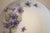 Antique Curated Signed Hutschenreuther Selb Plates- Set of 7 For Sale - Image 9 of 12