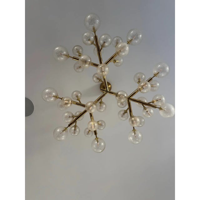Alberto Donà Mimosa Chandelier For Sale In San Francisco - Image 6 of 16