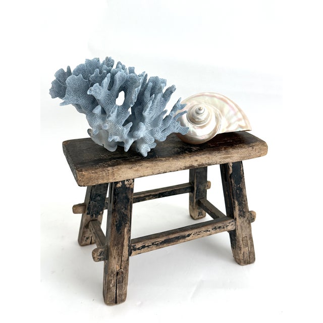 Chinoiserie Natural Blue Coral Specimen For Sale - Image 3 of 6