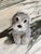 1980s 1981 Sandicast Schnauzer Figure For Sale - Image 5 of 15