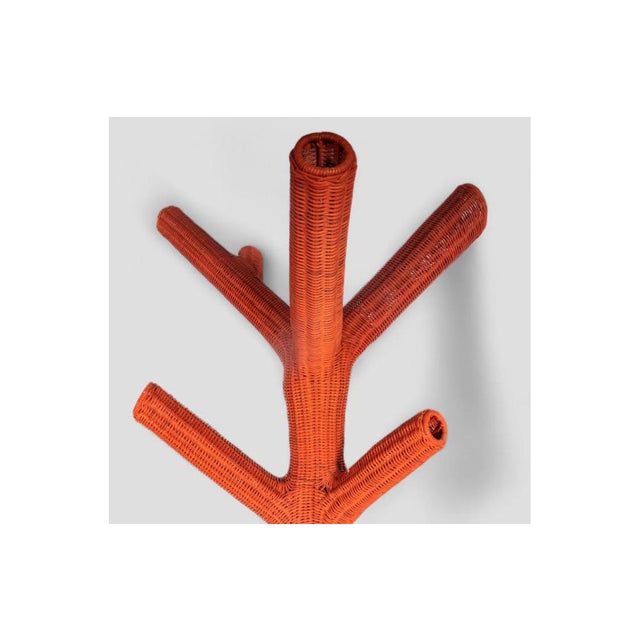 Corallo Coat Rack in Wicker from Gervasoni For Sale - Image 5 of 7