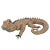 Tan Mario Lopez Torres Iguana For Sale - Image 8 of 8