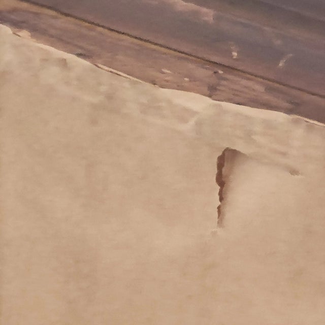 Early 20th Century Original Artist Signed Johan Karoly Reinprecht Ornate Gold Framed Still Life Oil Painting For Sale - Image 16 of 18