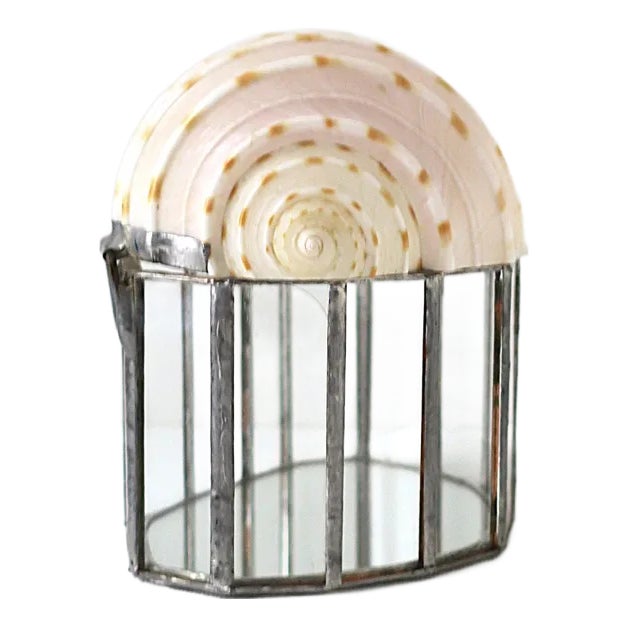 Seashell Jewelry Trinket Box For Sale