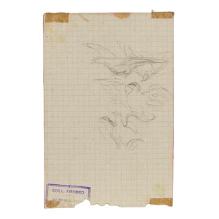 Luigi Galli, Birds in Flight, 19th Century, Pencil on Paper For Sale