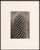 Karl Blossfeldt, Black and White Botanical Image, 1942, Photogravure, Framed For Sale