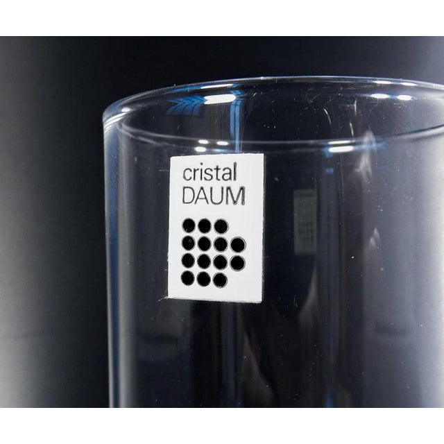 Crystal Corolle Glasses from Daum, Set of 12 For Sale - Image 12 of 16