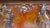19th Century Chinese Carved Panel Board For Sale In New York - Image 6 of 11