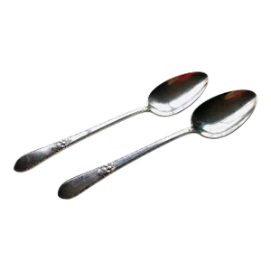 Vintage 1847 Rogers Bros. Is "Adoration" Pattern Silver Plated Serving Spoons- Set of 2