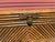 Wood Vintage Pencil Reed/Bamboo Diamond Pattern Wood Storage Trunk For Sale - Image 7 of 10
