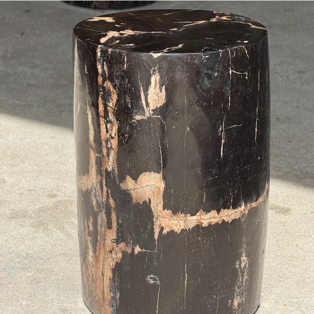 Small Side Table in Black Petrified Wood with Striates and Beige Lower Side For Sale - Image 18 of 18