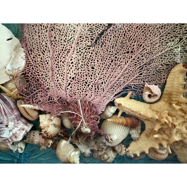 Glass Vintage Seashell Collage Shadow Boxes -a Pair For Sale - Image 7 of 12