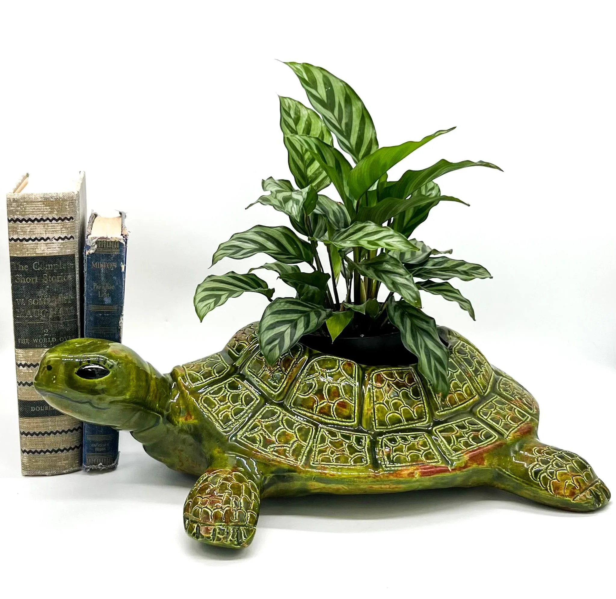 money tree gift card holder Money Tree Gift Card, Cash, Tickets Holder With 10 Clips, LED Tips